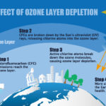 Ozone Depletion