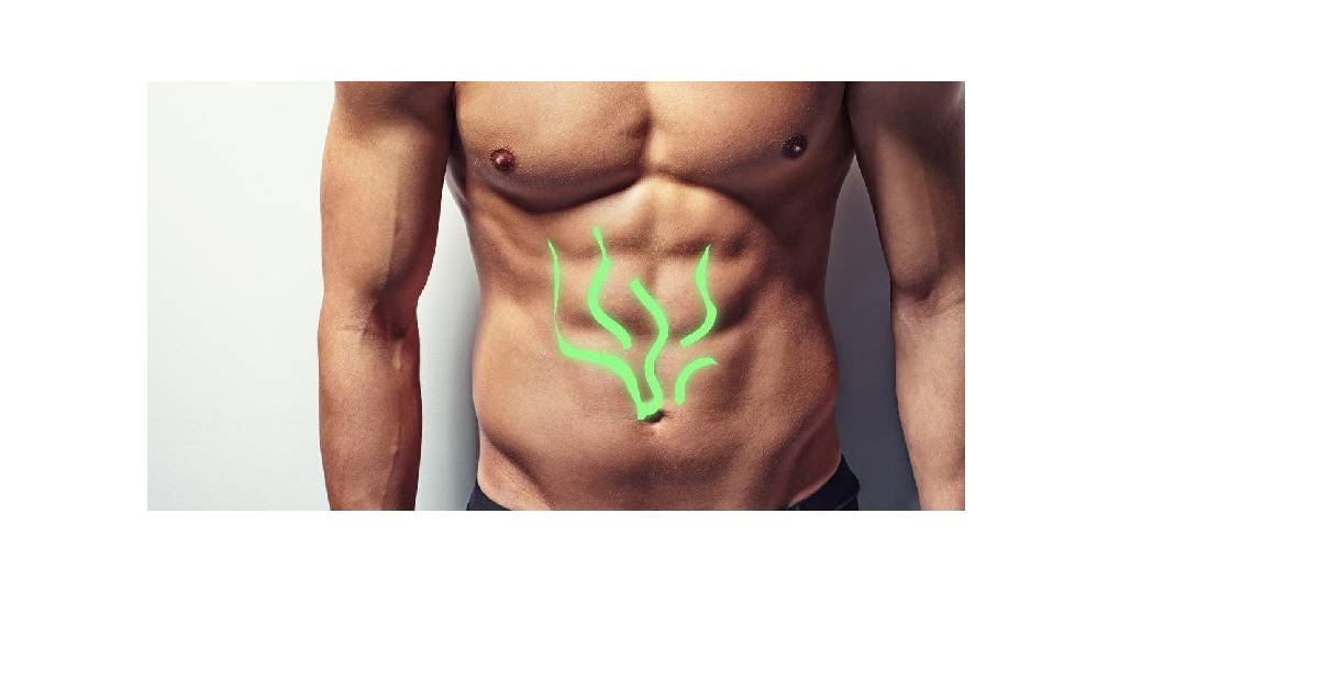 Best Probiotics For Men