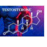 Best Exercises To Boost Testosterone